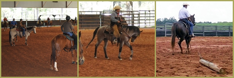 Stock Horse March 2012